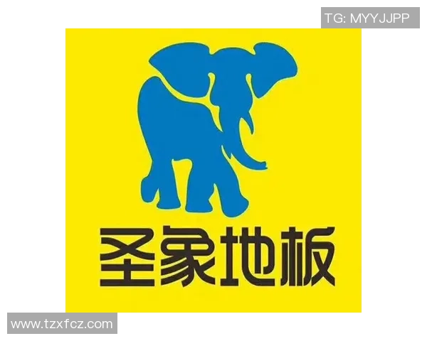 2023年最受欢迎的体育木地板品牌排行榜及选购指南