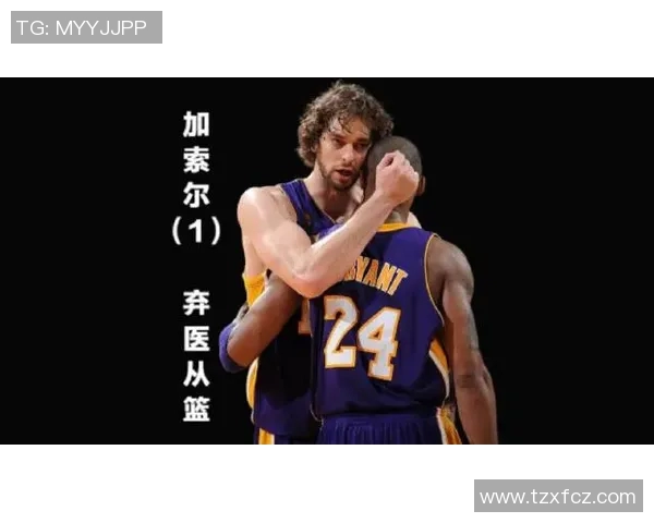 篮球明星艾的传奇之路与辉煌成就背后的奋斗故事